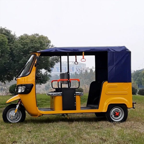 Gasoline passenger trike, a family three-wheeler.
